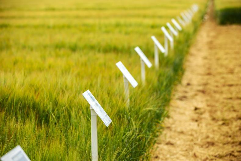 Crops event to focus on varieties and future of tillage this week - Vimarsana News