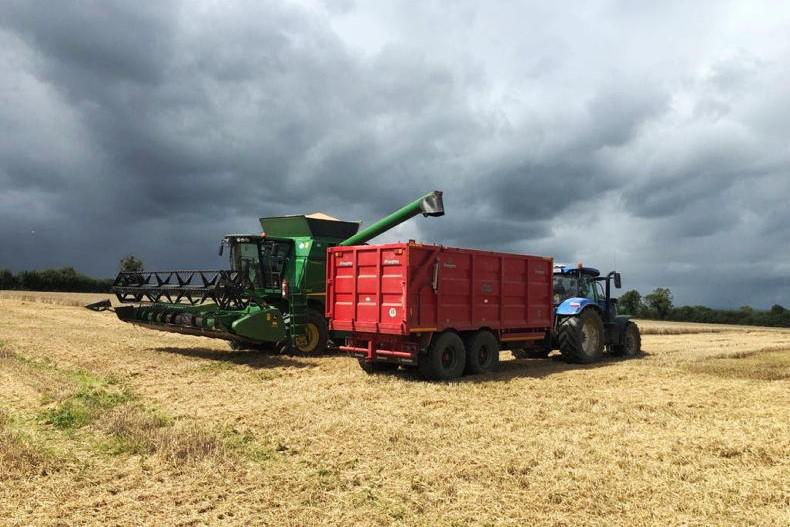 Tillage sector in crisis: cereal crops set to lose hundreds - Vimarsana News