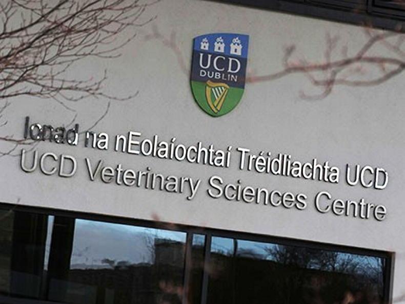 Prof Rory Breathnach appointed new dean of UCD vet school - Vimarsana News