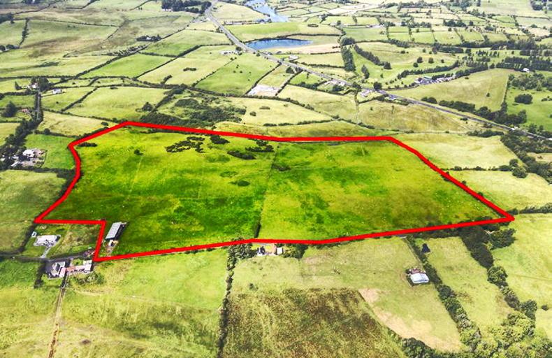Roscommon farm has fine cattle shed - Vimarsana News