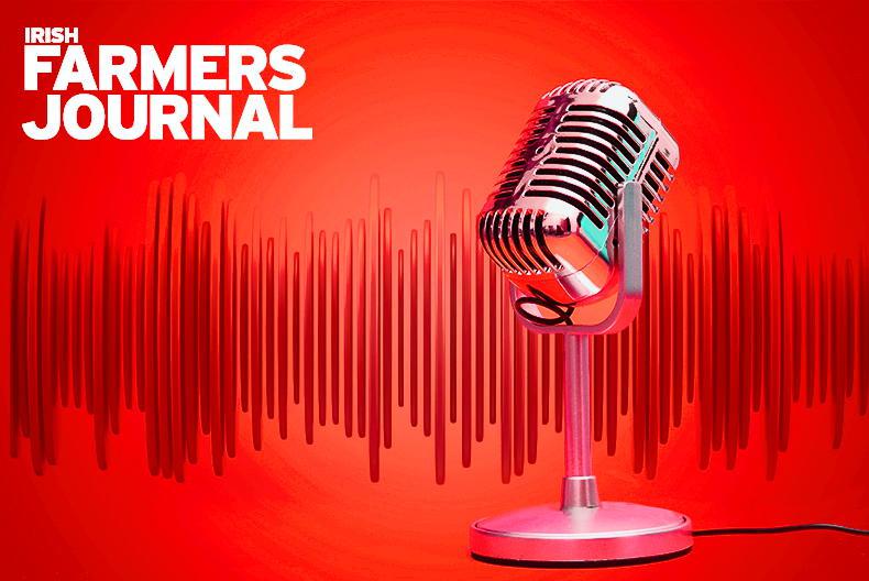 News podcast: nitrates cut impact and reaction - Vimarsana News