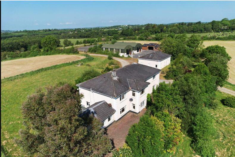 33ac with lovely house and fine yard in Meath for sale - Vimarsana News