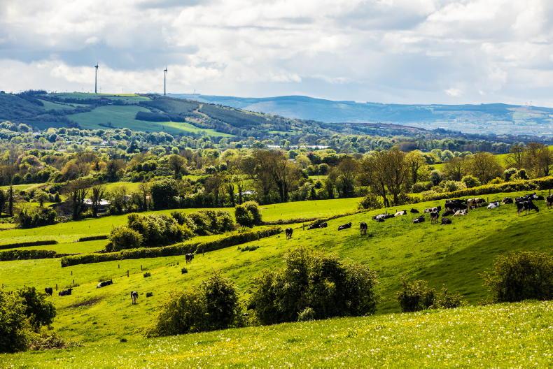 Farmer views: what impact will the cut to the derogation have on your farm? - Vimarsana News