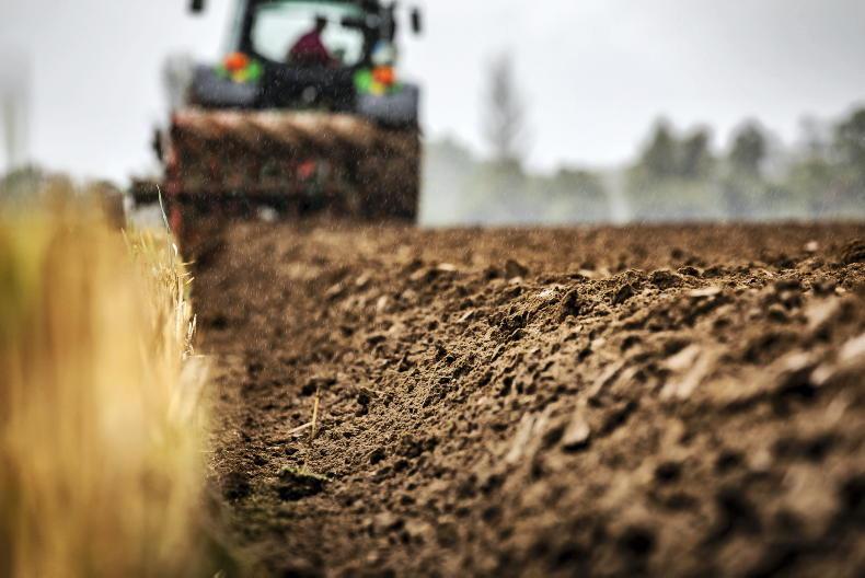 Spoilt for choice on winter barley list - Vimarsana News