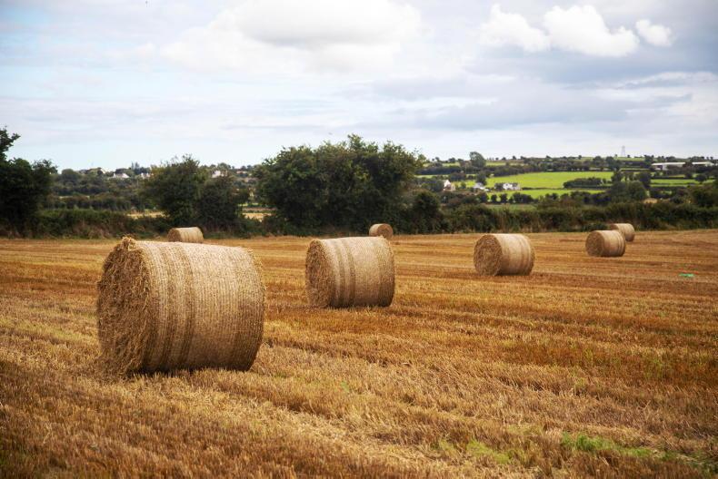 Straw prices surge as tight supplies bite - Vimarsana News