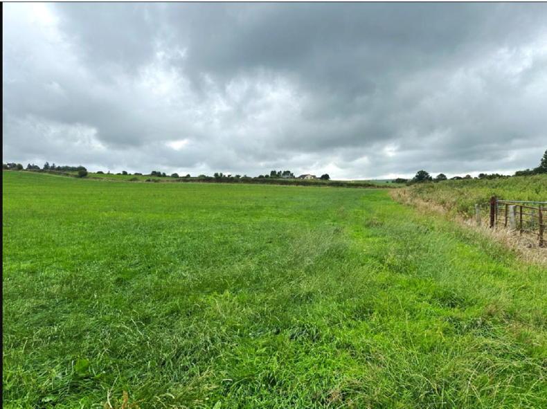 16.5ac in one block for sale in Cork - Vimarsana News