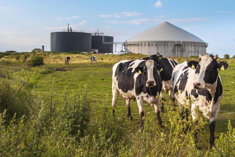 AD, derogations and dairy farmers – can they coexist? - Vimarsana News
