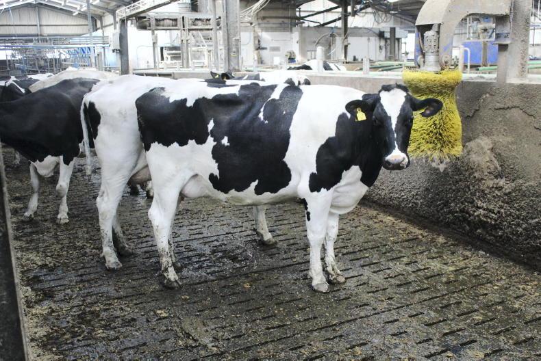 Dairy co-op price gap highest since 2012 - Vimarsana News