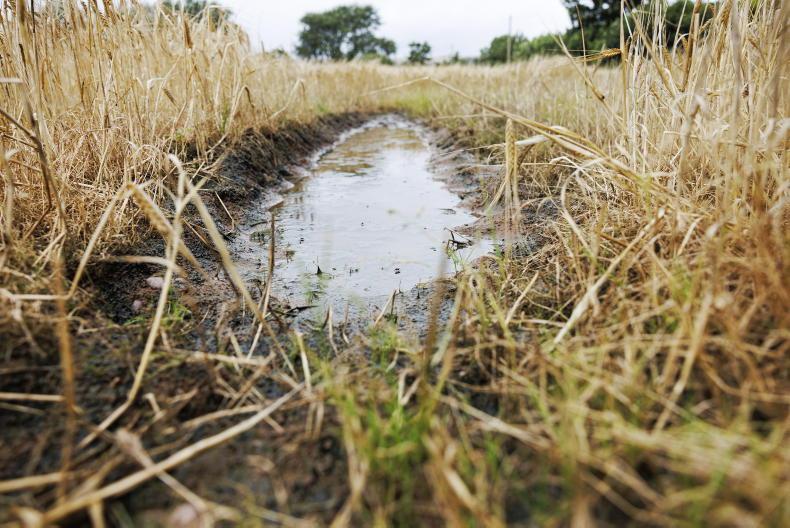 Wet weather delays harvesting and winter crop preparations - Vimarsana News