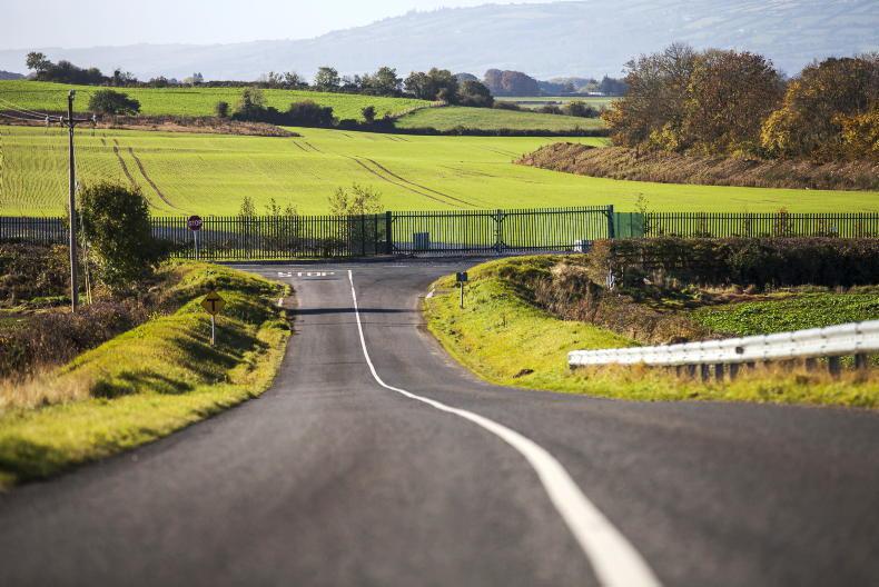 Beet Ireland calls time on sugar industry dream - Vimarsana News