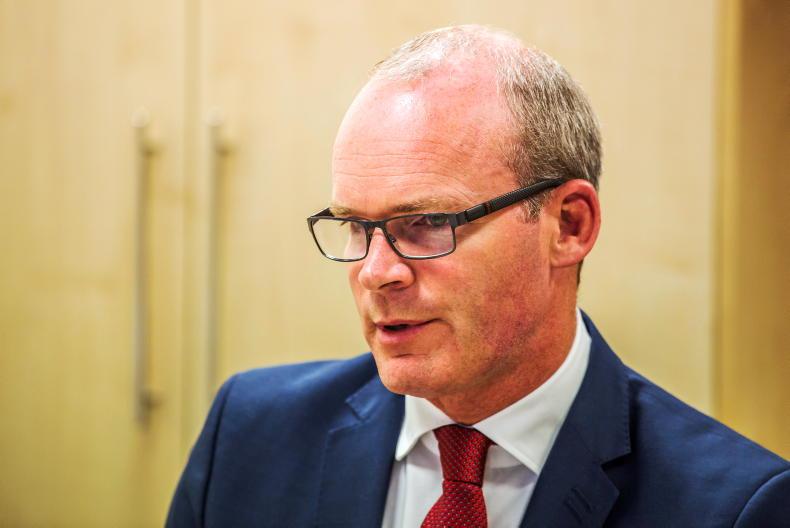 Ireland's 'very different' farming model needs to be accommodated in policy - Vimarsana News