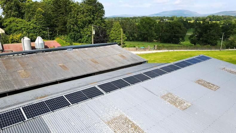 TAMS delay and slow grid connections hold up solar progress - Vimarsana News