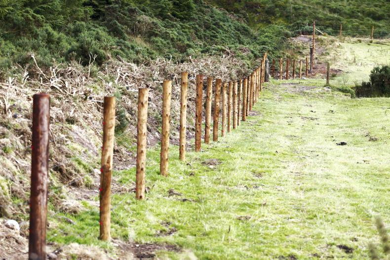New scheme to pay farmers for deer and hare fencing Free