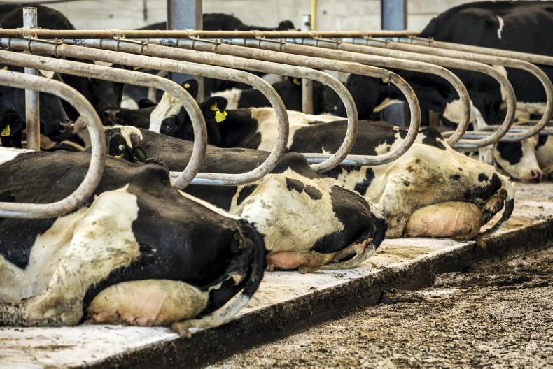 Liquid milk producers will be wiped out without 10c/l premium - IFA