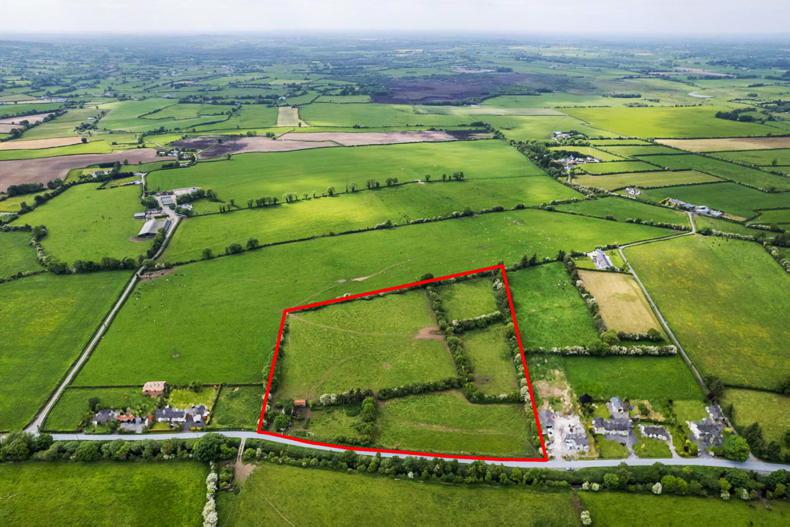 Offaly farm makes €2.2m at auction - Vimarsana News