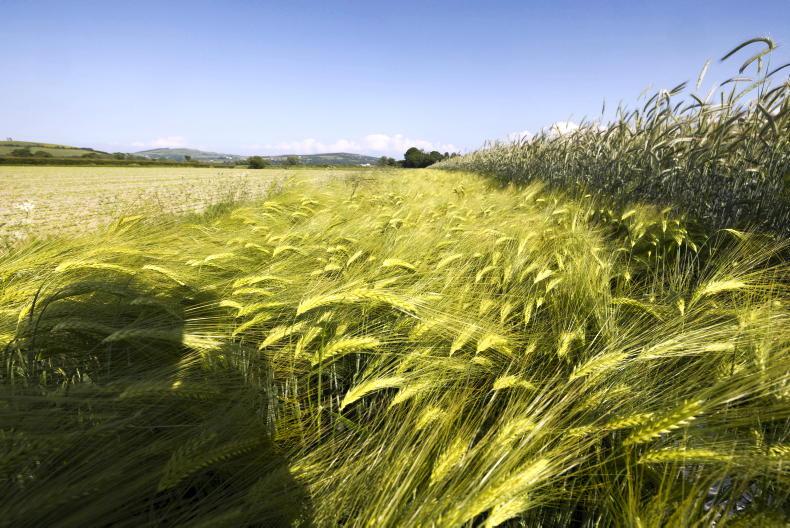Licensing farmers must be investigated - Vimarsana News