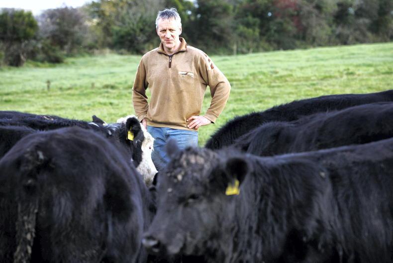 Farmer Writes: Were we sold a pup on nitrates? - Vimarsana News