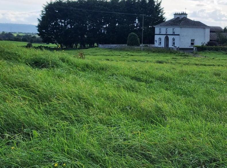 Property big residential farm for sale near Loughrea Free