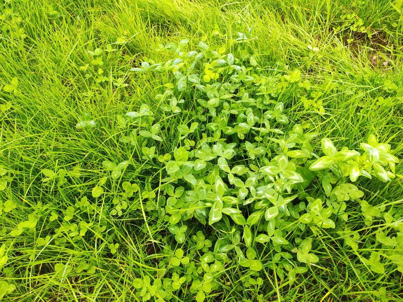 Leading the way in technology adoption on Signpost Farms - Vimarsana News