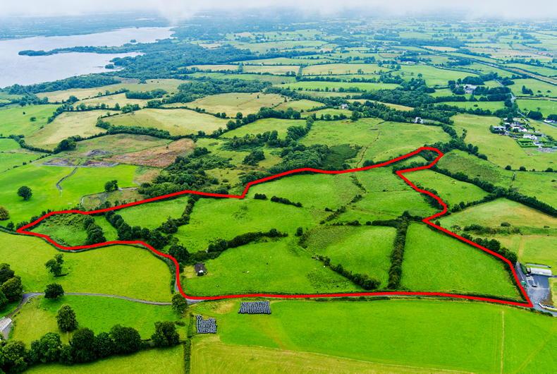 33ac farm with bungalow in Westmeath Free