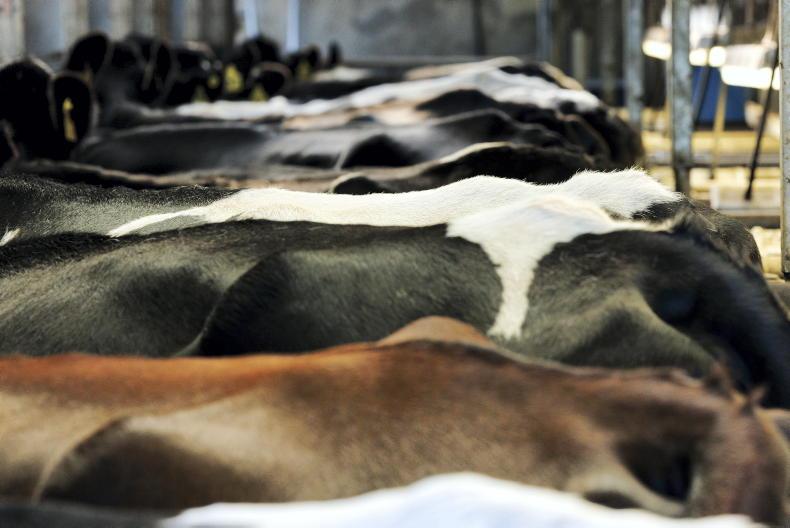 Co-op boards must 'fight to hold milk price' – IFA - 09 October 2023 Free - Vimarsana News
