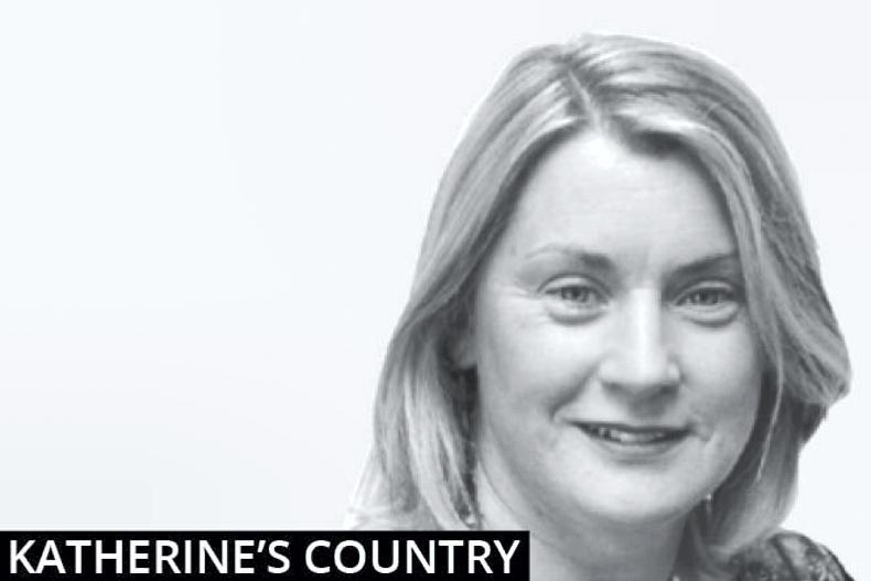 Katherine's Country: 'I wish to feel organised, busy and in control' - Vimarsana News