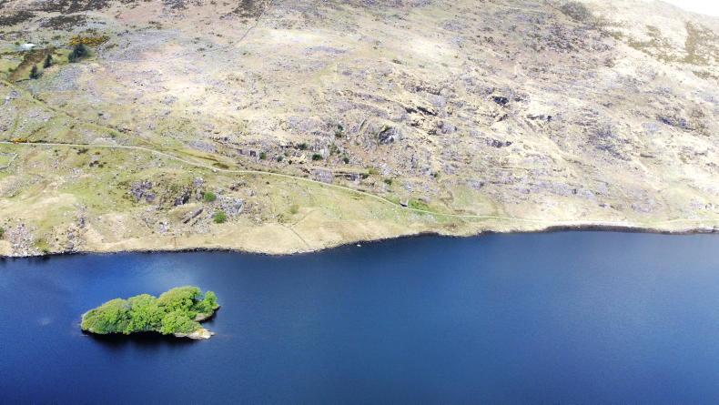 Restoring woodlands a key part of fighting climate change - Vimarsana News