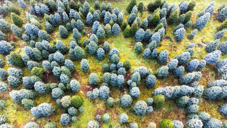 Marie Donnelly gives scathing review of Government's green progress - Vimarsana News