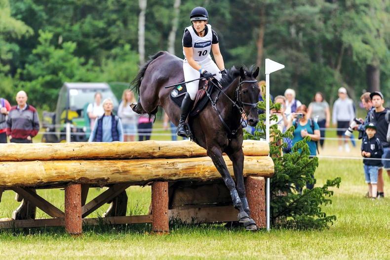 Irish Horse: it takes a team to reach the top