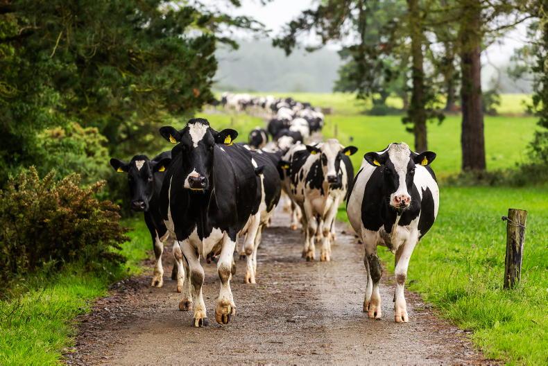 NI milk prices unchanged for September - Vimarsana News