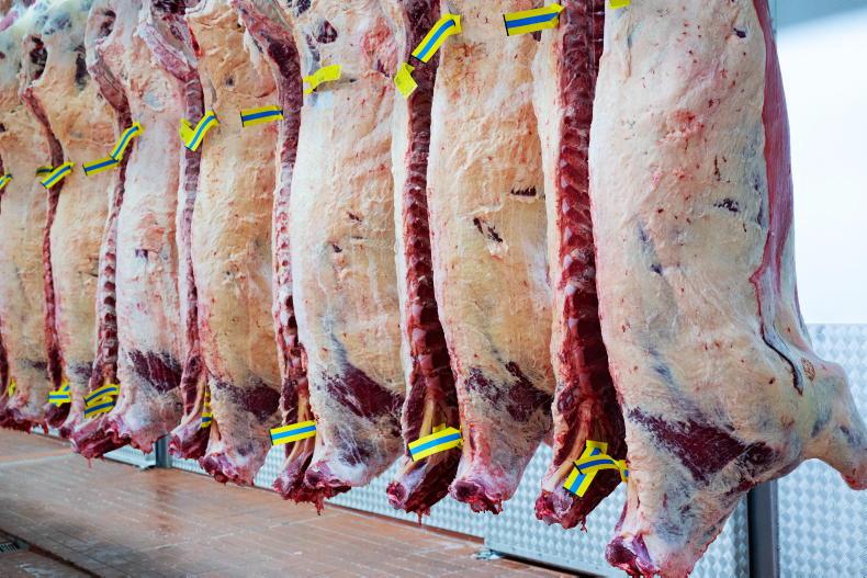 Beef Trends: UK finished cattle supplies tighten - Vimarsana News
