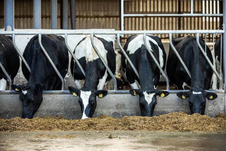 Dairy Management: nitrates, winter milk and bad weather - Vimarsana News