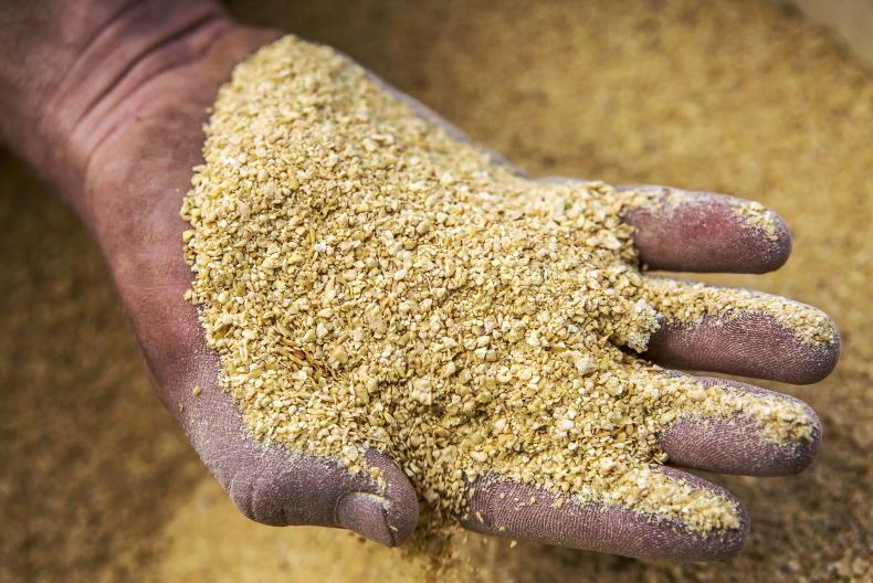 Grain Trends: wheat steady as soya jumps - Vimarsana News