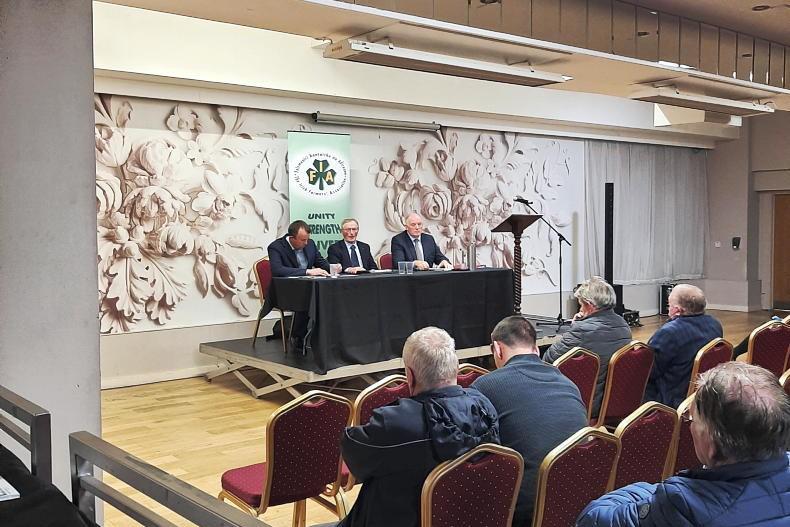 IFA deficit could top €1m this year - Vimarsana News