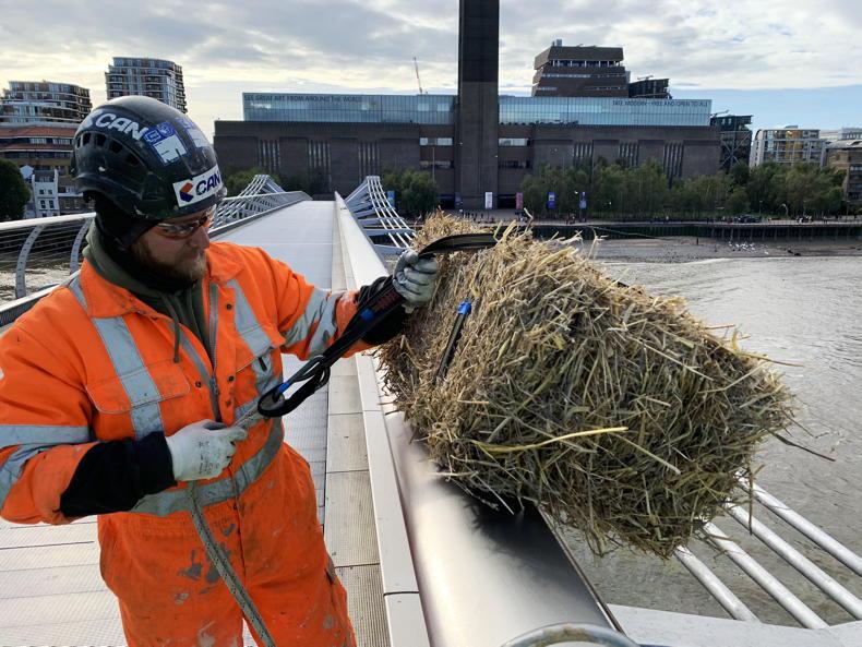 Why is there a bale of straw hanging from a London bridge? - Vimarsana News