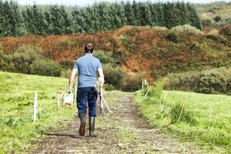 Revealed: number of farmers directly affected by derogation cuts - Vimarsana News