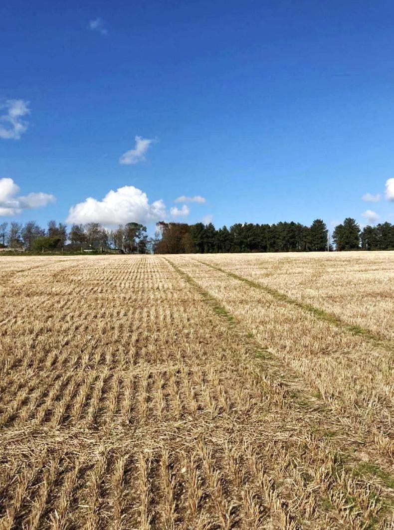 24ac holding for sale in east Cork - Vimarsana News