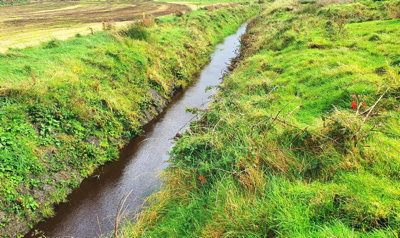 New scheme offers landowners over €20,000 to plant 1ha of woodland - Vimarsana News