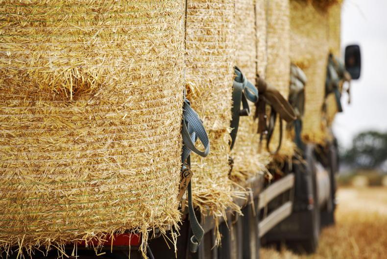 Straw imports 'extremely' worrying – Teagasc - Vimarsana News