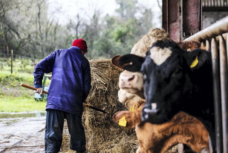 25% of farmers short or tight for silage – Teagasc - Vimarsana News