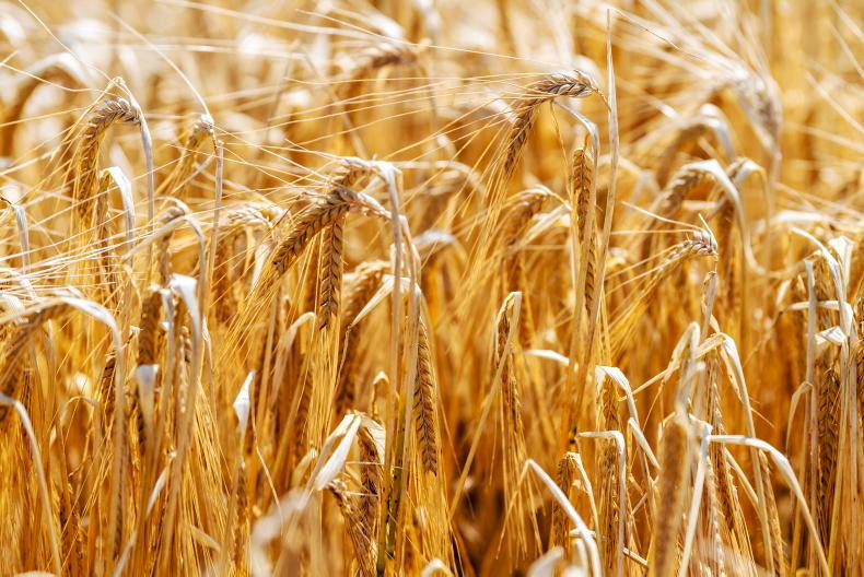 Southeast set for 'game changer' brewing and distilling hub - Vimarsana News