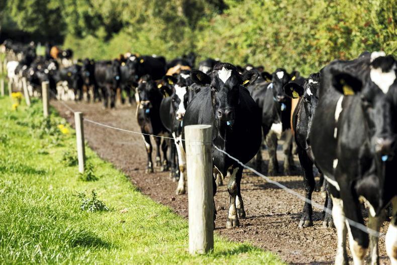 Dairy farmer views: 'Bring back milk quota and have a level playing field' - Vimarsana News