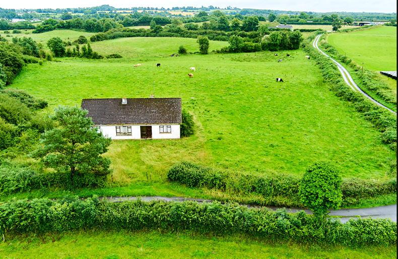 Top farms hit €30,000/ac at auction - Vimarsana News