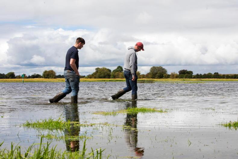 No plans for fodder supports for Shannon Callows farmers - Vimarsana News