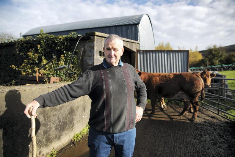 My Farming Week: Michael Shannon: Gortaclare, Bellharbour, Co Clare - Vimarsana News