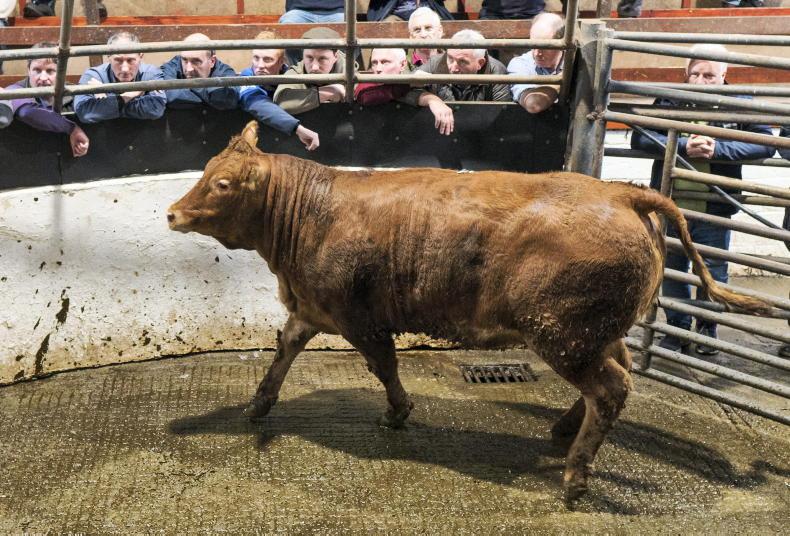 MartBids Database: mixed week for mart trade     