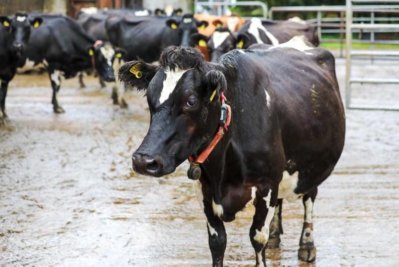 Map: how many farms are hit with the derogation cut in your county - Vimarsana News