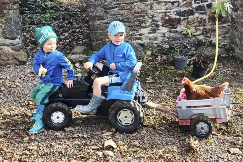Reader photos: show us what's happening on your farm - 05 November 2023 Free - Vimarsana News