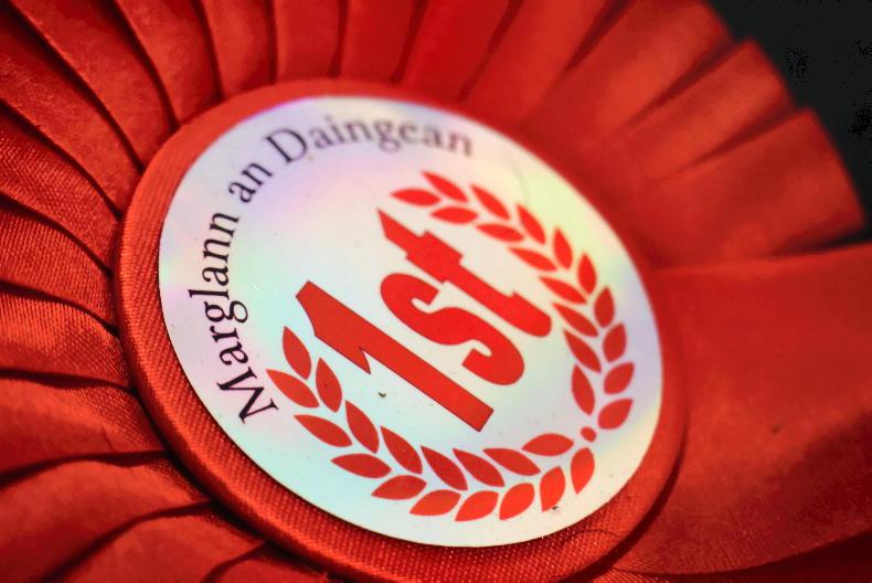 Camera at the Mart: blistering trade at Dingle fatstock show and sale - Vimarsana News