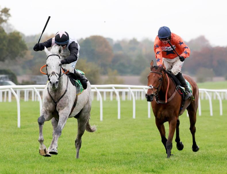 Irish Horse: Mouse on the road to Gold again   